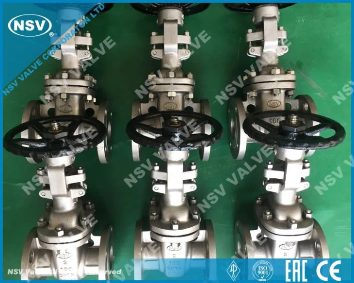 CN7M Gate Valve