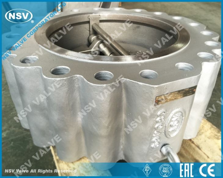Dual Plate Wafer Check Valve