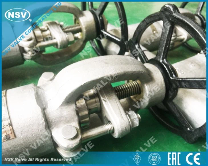 Incoloy 825 Gate Valve