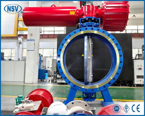 IMG20241218080606 IMG20241218080606